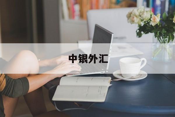 中银外汇(中银外汇牌价实时汇率查询)