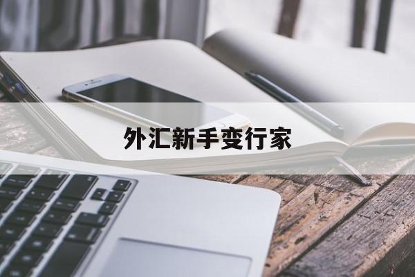 外汇新手变行家(外汇新手入门讲解)