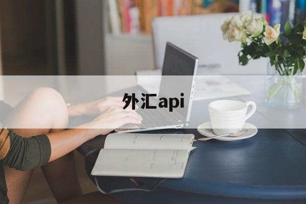 外汇api(外汇api是指什么意思)