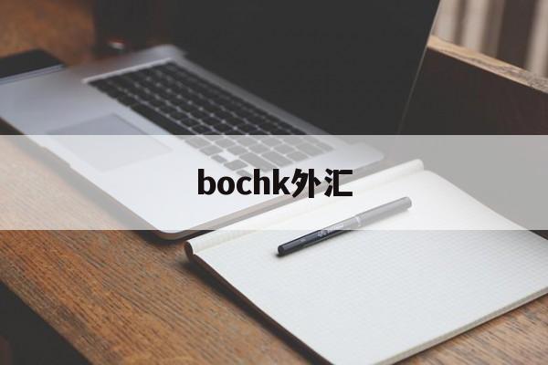 bochk外汇(danske bank外汇)